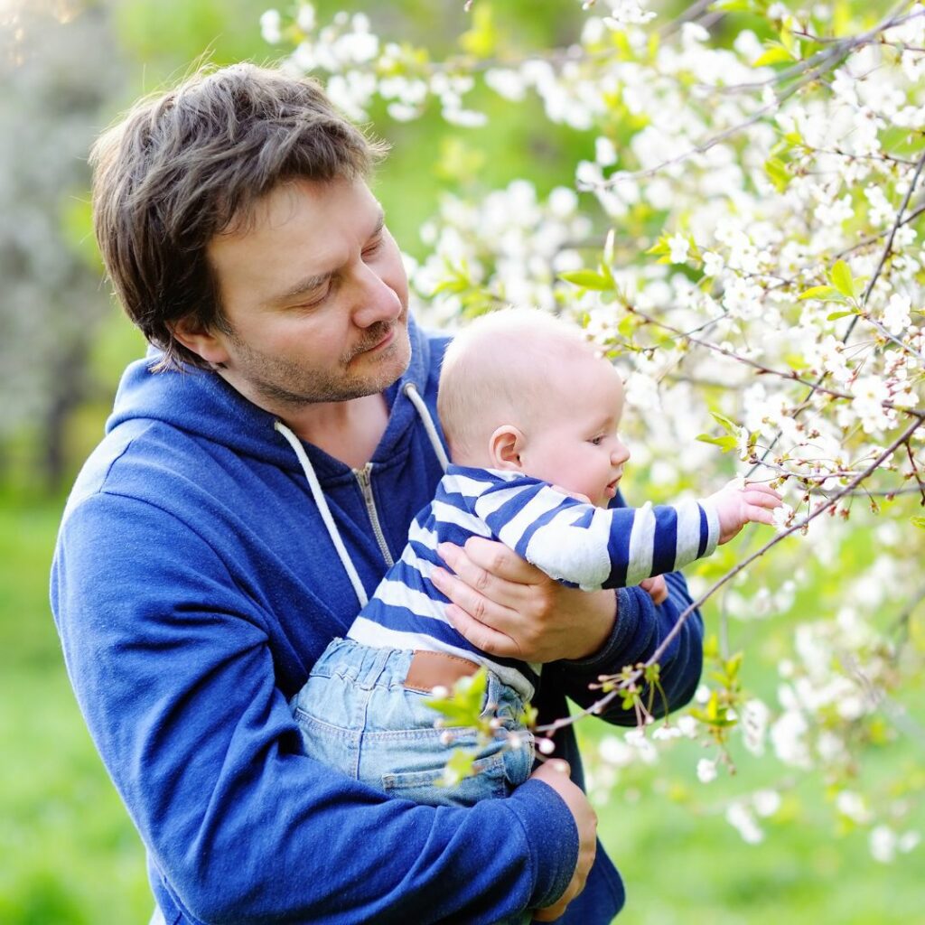 a dad holds his baby up to a tree so the baby can touch the flowers